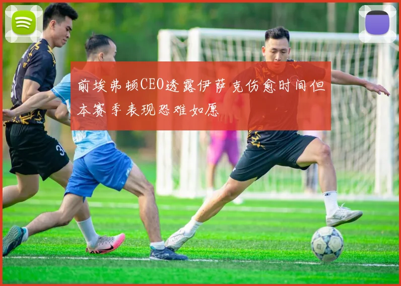 前埃弗顿CEO透露伊萨克伤愈时间但本赛季表现恐难如愿