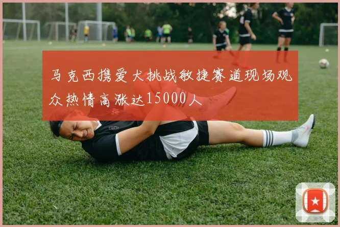 马克西携爱犬挑战敏捷赛道现场观众热情高涨达15000人