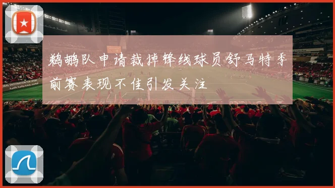 鹈鹕队申请裁掉锋线球员舒马特季前赛表现不佳引发关注
